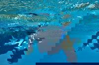 3 Day Whitsundays Sailing and Diving Adventure Kiana, Airlie Beach