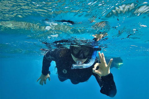 3 Day Whitsundays Sailing And Diving Adventure: Kiana - Tourism Gold Coast 0