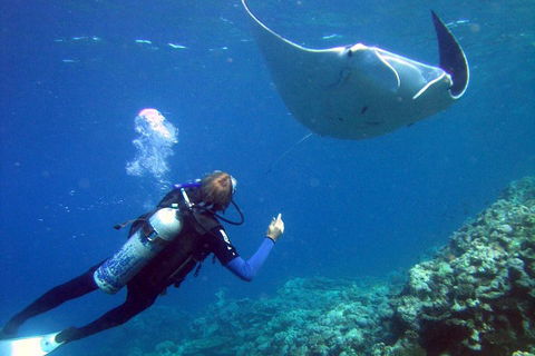 3 Day Whitsundays Sailing And Diving Adventure: Kiana - Tourism Gold Coast 3