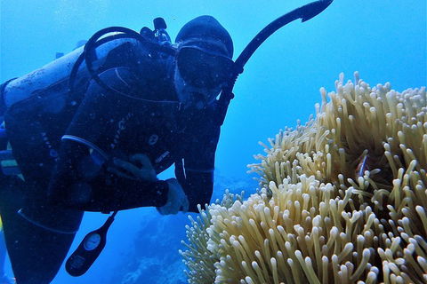 3 Day Whitsundays Sailing And Diving Adventure: Kiana - Tourism Gold Coast 5