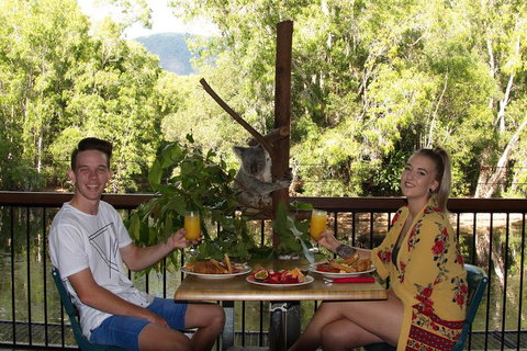 Hartley's Crocodile Adventures Breakfast With The Koalas - Tourism Gold Coast 5