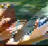 2-Day Melbourne to Adelaide Tour Great Ocean Road and Grampians One Way Trip - Tourism Gold Coast