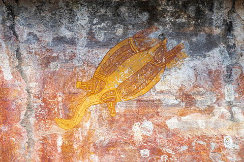 Kakadu Wilderness Escape - Top End Day Tour From Darwin - Tourism Gold Coast 2