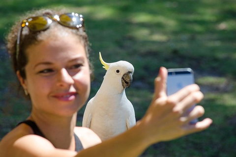 Melbourne To Adelaide South East Coast 3 Day Overland Tour - Tourism Gold Coast 3