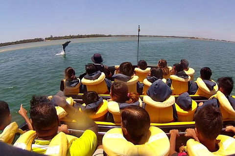 Express Jet Boat Ride + Aquaduck - Tourism Gold Coast 4