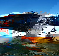 Paradise Jet Boating and Aquaduck Combo - Tourism Gold Coast