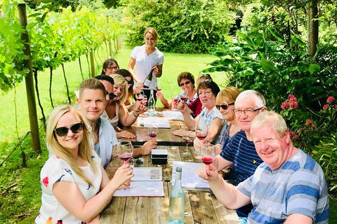 Mount Tamborine Wine Tasting Tour From Brisbane Or The Gold Coast - Gold Coast 5