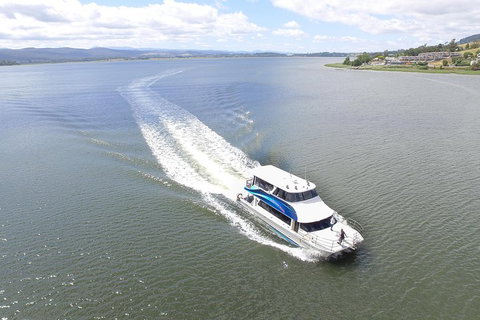 2.5 Hour Afternoon Discovery Cruise Including Cataract Gorge Departs At 1: 30 Pm - Gold Coast 4