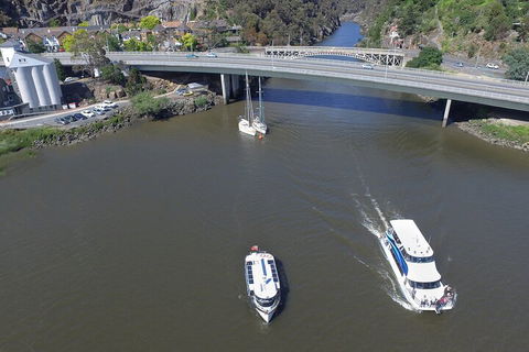 2.5 Hour Afternoon Discovery Cruise Including Cataract Gorge Departs At 1: 30 Pm - Gold Coast 5