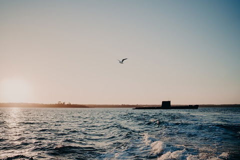 Phillip Island Twilight Cruise - Gold Coast 1