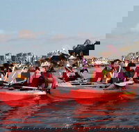 Brisbane River Guided Evening Tour by Kayak - Our Most Popular Tour - Tourism Gold Coast