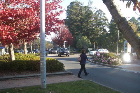 PRIVATE All-Day Blue Mountains Tour With Professional Guide For Up To 4 People - Tourism Gold Coast 1