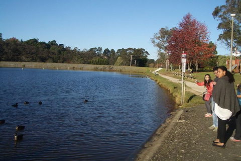 PRIVATE All-Day Blue Mountains Tour With Professional Guide For Up To 4 People - Tourism Gold Coast 2