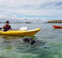 Seal Island and Penguin Island or Point Peron Sea Kayak Tour - Tourism Gold Coast