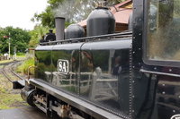 Dandenong Ranges and Rayners Orchard Tour from Melbourne