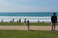 Surf tour and lesson, Melbourne