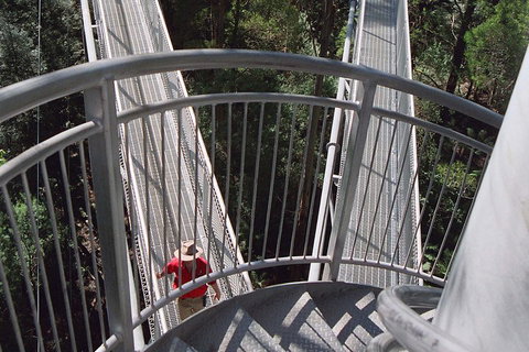 12 Apostles And Otway Fly Zipline Day Trip From Melbourne - Tourism Gold Coast 2