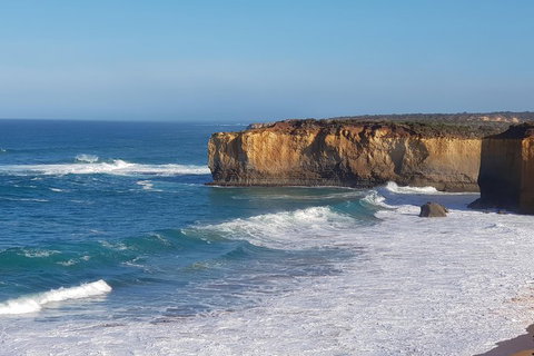 12 Apostles And Otway Fly Zipline Day Trip From Melbourne - Tourism Gold Coast 4