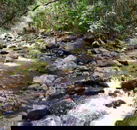 Springbrook Full Day Tour - Tourism Gold Coast