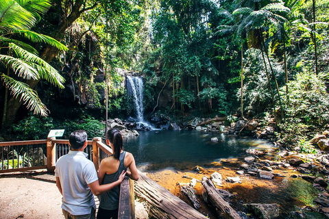Aquaduck & Your Choice Of Gold Coast Rainforest Tour - Tourism Gold Coast 0