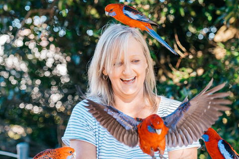 Aquaduck & Your Choice Of Gold Coast Rainforest Tour - Tourism Gold Coast 5