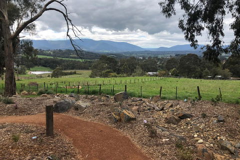 Yarra Valley Wine Tour Inc Lunch With A Glass Of Wine, Tastings And Chocolate - Tourism Gold Coast 0