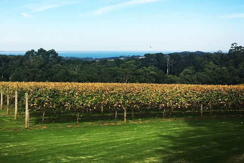 Yarra Valley Wine Tour Inc Lunch With A Glass Of Wine, Tastings And Chocolate - Tourism Gold Coast 2