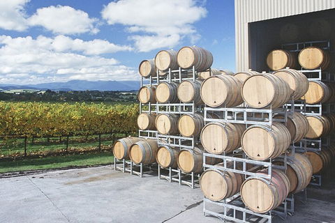 Yarra Valley Wine Tour Inc Lunch With A Glass Of Wine, Tastings And Chocolate - Tourism Gold Coast 4