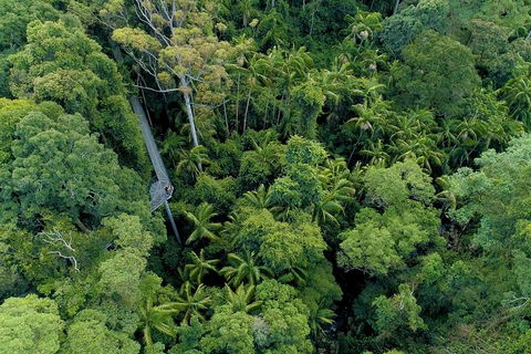 Natural Bridge, Skywalk And Mt Tamborine Adventure! - Tourism Gold Coast 2