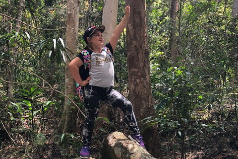 Natural Bridge, Skywalk And Mt Tamborine Adventure! - Tourism Gold Coast 3
