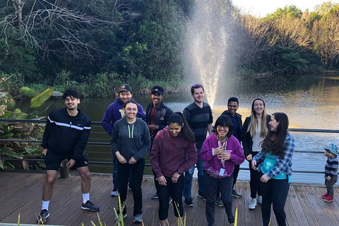Natural Bridge, Skywalk And Mt Tamborine Adventure! - Tourism Gold Coast 4