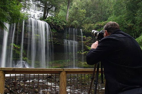 Mt Field And Styx Valley Photography Tour - Tourism Gold Coast 0