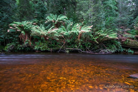 Mt Field And Styx Valley Photography Tour - Tourism Gold Coast 4