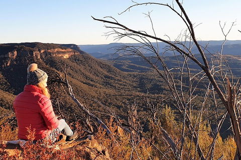 Ultimate Blue Mountains Waterfalls, Walks & Sunset PRIVATE Tour - Tourism Gold Coast 2