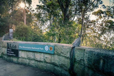 Ultimate Blue Mountains Waterfalls, Walks & Sunset PRIVATE Tour - Tourism Gold Coast 3