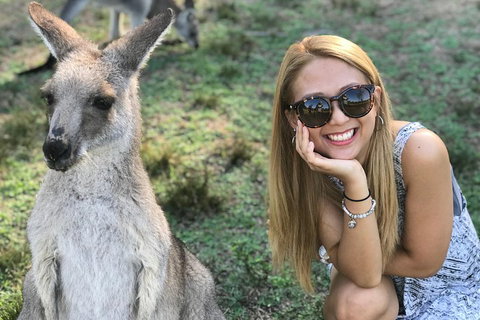 PJ Blue Mountains Supreme Day Tour - Tourism Gold Coast 2