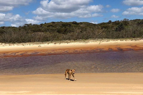 Pippies 3 Days 2 Nights Fraser Island Tour - Tourism Gold Coast 2