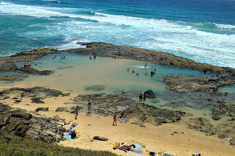 Pippies 3 Days 2 Nights Fraser Island Tour - Tourism Gold Coast 5