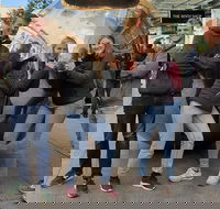 Guided Walking Tour in Adelaide - Gold Coast