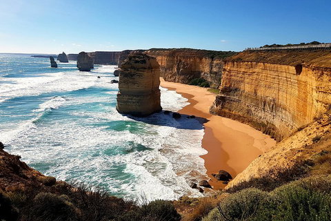 Helicopter Flight + Fine Dining Private Luxury Great Ocean Road Tour - Tourism Gold Coast 4