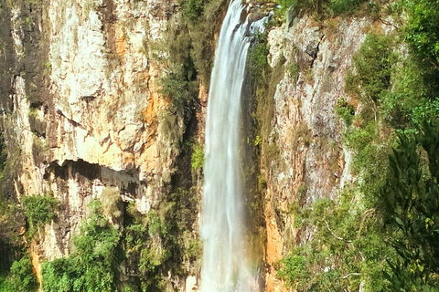 Natural Arch, Rainforest & Volcano Canyon - Private Half Day Tour - Tourism Gold Coast 2