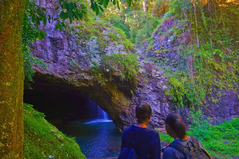 Natural Arch, Rainforest & Volcano Canyon - Private Half Day Tour - Tourism Gold Coast 4