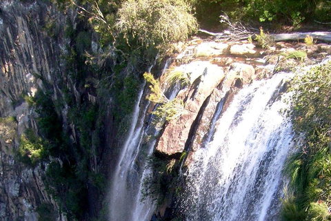 Byron Bay Combo: Hinterland Tour Including Minyon Falls And Kayaking With Dolphins - Gold Coast 3