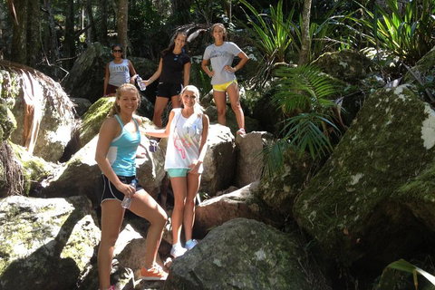 Byron Bay Combo: Hinterland Tour Including Minyon Falls And Kayaking With Dolphins - Gold Coast 4