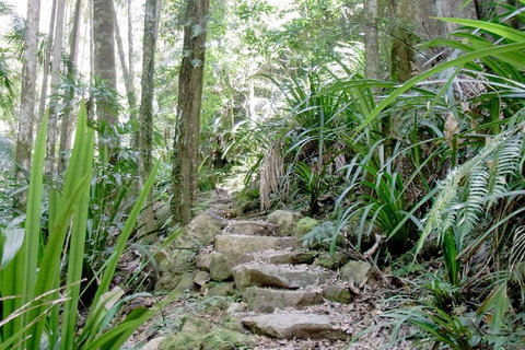 Byron Bay Combo: Hinterland Tour Including Minyon Falls And Kayaking With Dolphins - Gold Coast 5