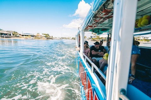 Aquaduck Sunshine Coast - Tourism Gold Coast 5