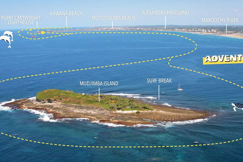 1.5HR Mudjimba Island Wildlife Safari - Tourism Gold Coast 1