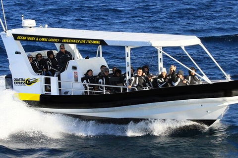 1.5HR Mudjimba Island Wildlife Safari - Tourism Gold Coast 2