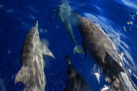 1.5HR Mudjimba Island Wildlife Safari - Tourism Gold Coast 3
