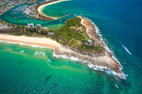1.5HR Mudjimba Island Wildlife Safari - Tourism Gold Coast 5